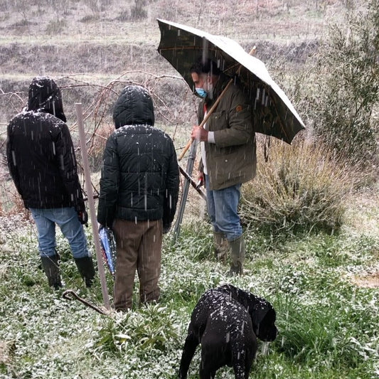 tenuta-del-travale-gallery 29