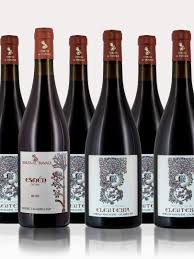 tenuta-del-travale-gallery 8