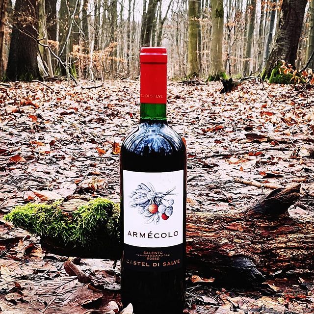 Armecolo in forest amongst wet leaves and aroma of forest floor